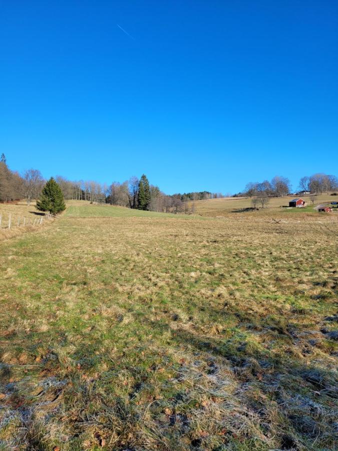 Bokskogens Guesthouse Kulltorp  Zewnętrze zdjęcie